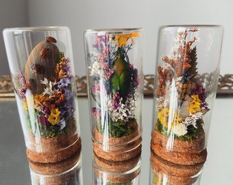 Glass Terrarium Specimens