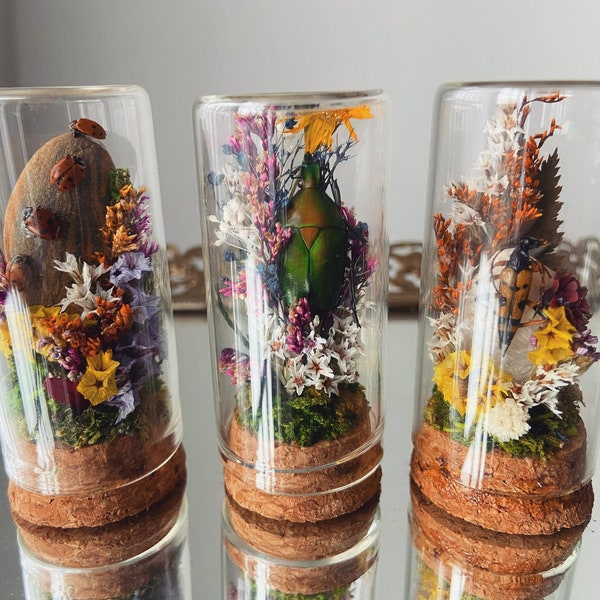 Glas Terrarium Specimens