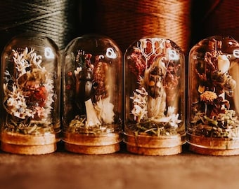 Miniature Specimen Diorama Terrarium