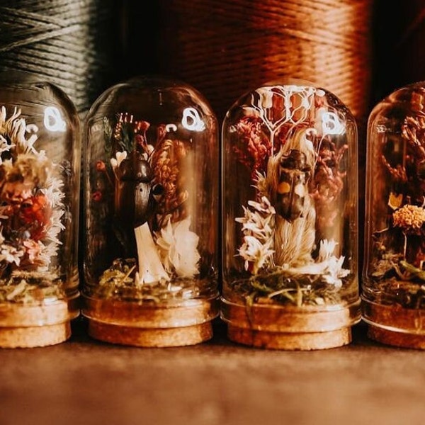 Miniature Specimen Diorama Terrarium