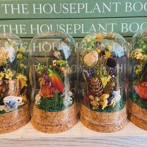 Reading Beetle, Teatime Beetle Terrarium