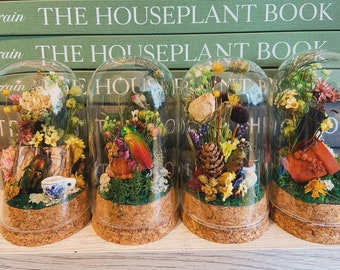 Lesekäfer, Teezeitkäfer Terrarium