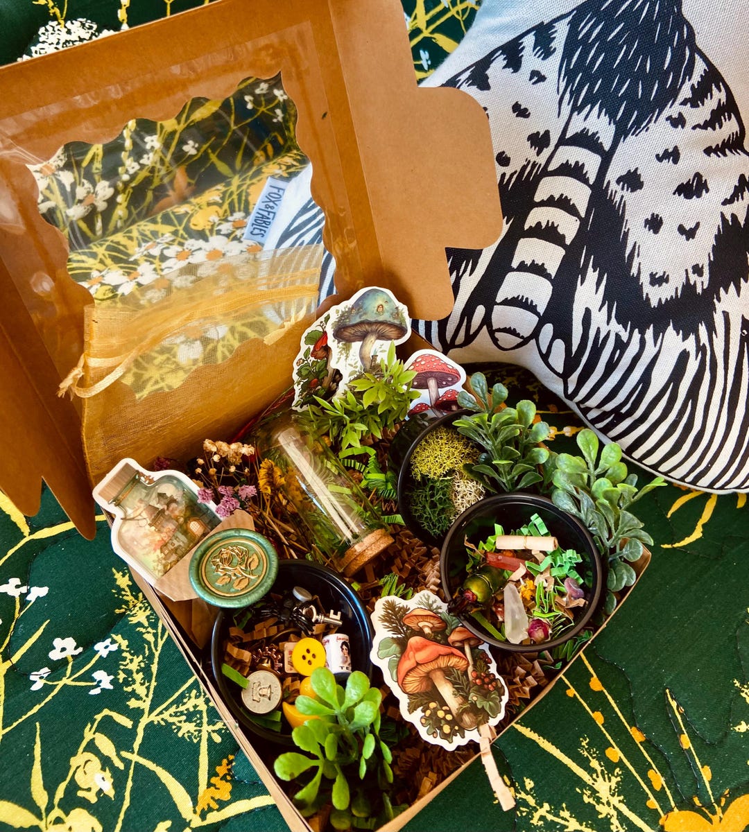 Make It Yourself Miniature Terrarium Kit and Gift Set - Etsy