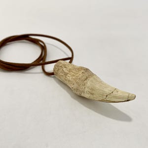 Lion tooth - Etsy 日本