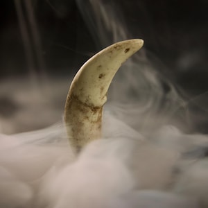 Könnte beinhalten: Nahaufnahme eines gebogenen, cremefarbenen Objekts, möglicherweise ein Zahn oder Stoßzahn, der aus einer weißen Dampfwolke auftaucht. Das Objekt hat eine strukturierte Oberfläche mit braunen Markierungen. Der Hintergrund ist dunkel.