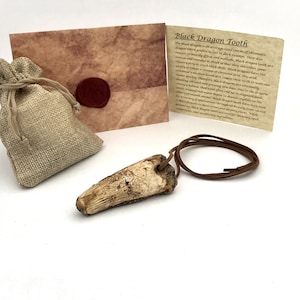 Op de afbeelding: Een Black Dragon Tooth hanger met een bruin leren koord, gepresenteerd met een kleine jute zak en een kaart met tekst. De tand is gebroken wit met donkerbruine accenten. De kaart luidt "Black Dragon Tooth".