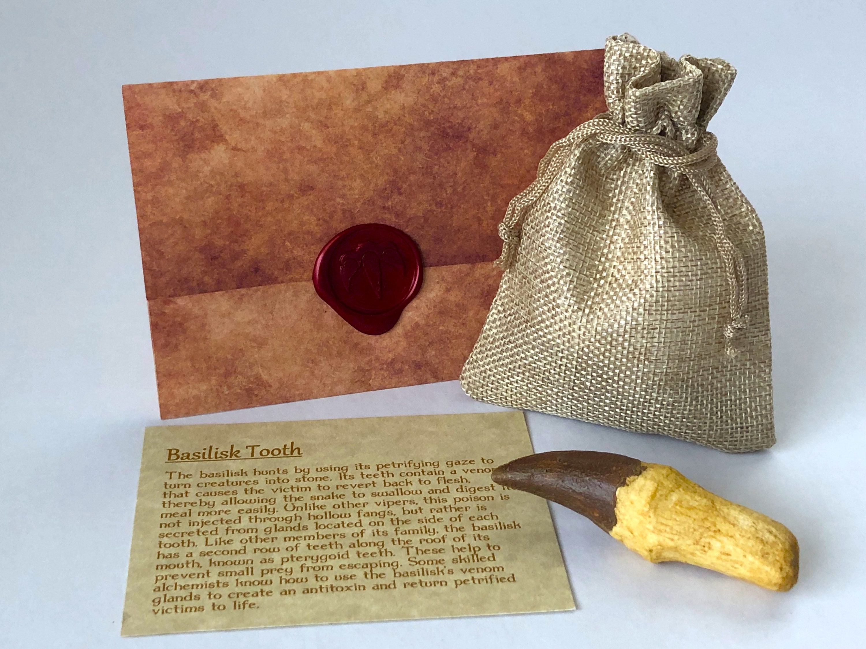 Basilisk Tooth Cast Resin Fossil Replica 3 Etsy