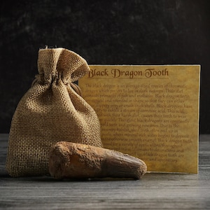 Fossilized Black Dragon Tooth Cast Resin Replica 2.9&quot;