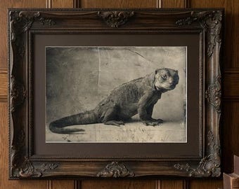 Vintage Tatzelwurm Photo | Alpine Cryptid Folklore Print (Digital Download)