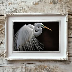 Great Egret Art, Oil Painting Bird Print, Dramatic Black Background, Wildlife Wall Decor, Majestic White Heron, Digital Download