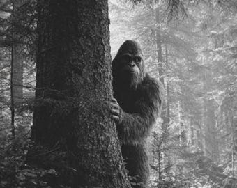 Vintage Bigfoot Photo | Cryptid Wall Art | Sasquatch Print | Dark Forest Decor