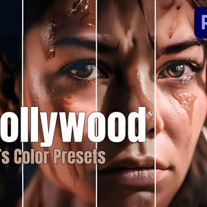 Hollywood Luts Color Presets Premiere Pro, Luts, Luts For Video, davinci resolve, cube luts, film luts, nature affinity luts, film industry