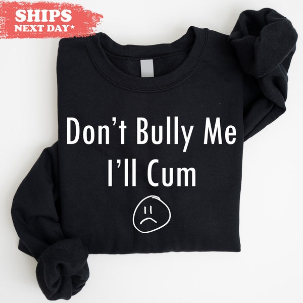 Don't Bully Me Sweatshirt - Funny Meme Hoodie - Baggy Boyfriend Gift - Sarcasm Crewneck - Adult Humor Sweater