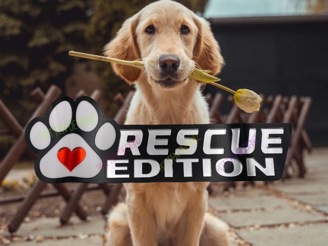 Rescue Edition Car Truck Badge - Etsy