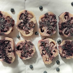 Blueberry Loofah Crunchy Halos | all natural loofahs with blueberry | for bunnies, hamsters, guinea pigs and other small animals