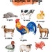 Farm Animals Printables Watercolor Animals Spanish Education Toy Room