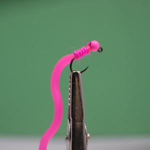 May include: A pink rubber worm fly fishing lure with a pink bead head.