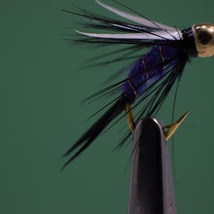 May include: A blue and black fly fishing lure with white feathers and a gold bead head.