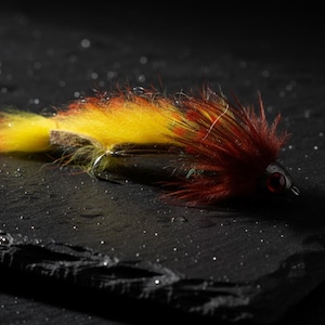 May include: A colorful fly fishing lure with a yellow and orange body and a dark red head. The lure is designed to mimic an insect and has a small hook. The fly is resting on a dark, textured surface.