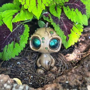 May include: A whimsical, small figurine of a creature with large, teal eyes and a light brown body. The figurine is nestled among green and purple-veined leaves and sits on a bed of soil and wood.