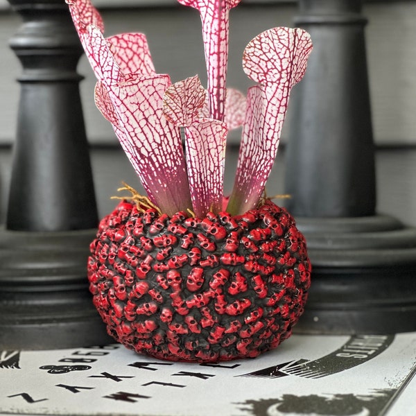 Horror Planter, Skull Planter, Goth Planters