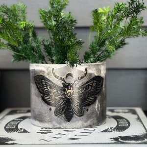 Deaths Head Moth Cement Gothic Planter Pot with drainage
