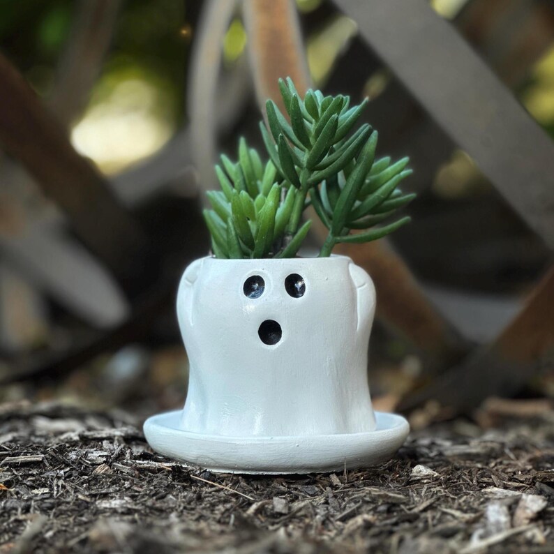 May include: A white ceramic ghost-shaped planter with a small succulent plant. The planter has three black holes for eyes and a mouth. The plant has green leaves. The planter sits on a matching saucer.