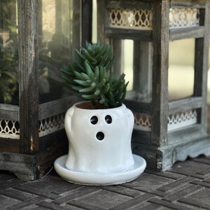 May include: A white ceramic ghost-shaped planter with three black eye and mouth holes, holding a green succulent plant. The planter sits on a matching saucer. The planter is a whimsical Halloween decoration.