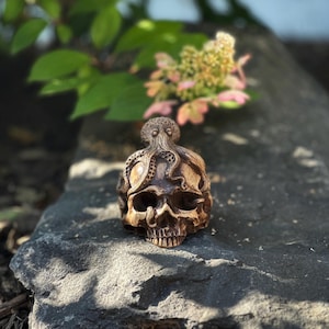 Skull Octopus Kraken Pirate Garden Goth Decor