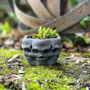 May include: A black skull-shaped planter with three faces, filled with green succulents. The planter is sitting on a bed of moss.