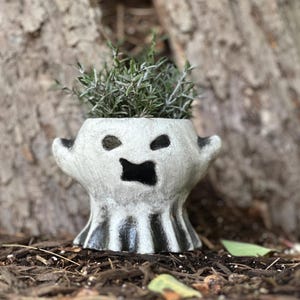 May include: A white ceramic ghost planter with a black painted face and a green plant growing inside. The planter is sitting on a bed of brown mulch.