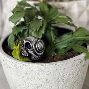 Skull Snail Fairy Garden Plant Decor