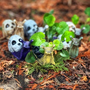 May include: A collection of whimsical skull-shaped snail figurines in various colors, including white, purple, and yellow. The figurines are set among green foliage and brown leaves, creating a unique garden decor theme.