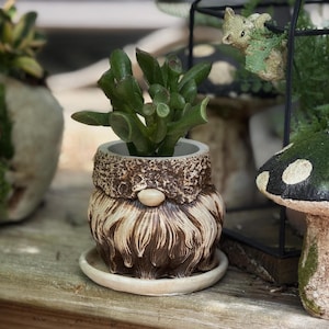 Pot de fleurs gnome cadeau avec égouttoir, décoration de jardin fantaisiste