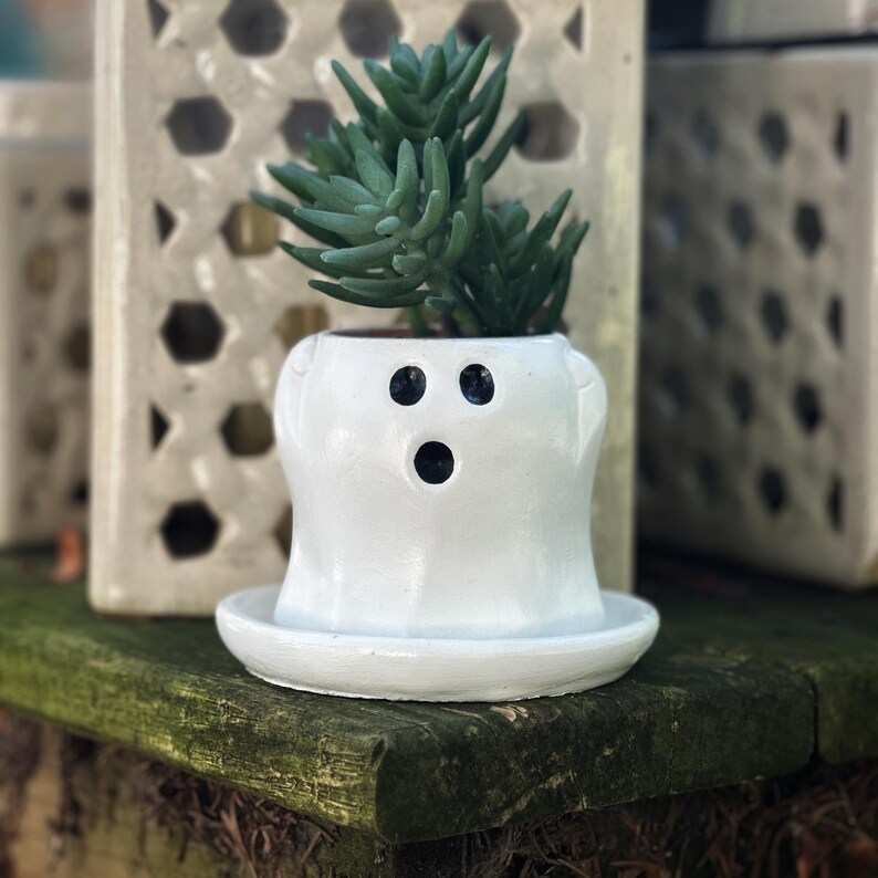 May include: A white ceramic ghost-shaped planter with a small succulent plant. The planter has three black eye and mouth holes. The planter sits on a matching saucer. The plant has green leaves.