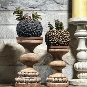 May include: Two black and gold skull-shaped planters with succulents on wooden pedestals with white bead accents.