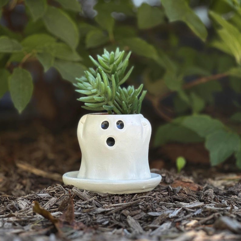May include: A white ceramic ghost-shaped planter with a small succulent plant. The planter has three black holes for eyes and a mouth. The plant has green, needle-like leaves. The planter sits on a matching saucer.