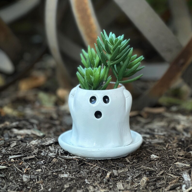 May include: A white ceramic ghost-shaped planter with a small green succulent plant. The planter has three black circular openings for eyes and a mouth. The planter sits on a matching white saucer, and is placed on a bed of mulch.