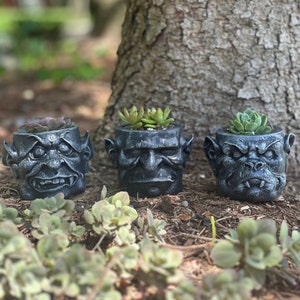 May include: Three black and gray ceramic planters shaped like grotesque faces, each with a different expression. The planters are filled with small green succulents.