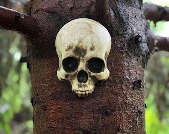 Garden Hanging Skull, Goth Garden Halloween Decoration