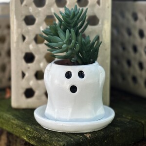 May include: A white ceramic ghost-shaped planter with a small succulent plant. The planter has three black circular openings for eyes and a mouth. The planter sits on a matching white saucer. The plant has green, fleshy leaves.