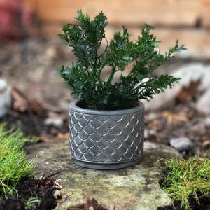 Mermaid Fish Scale Planter Pot with drip tray Indoor/outdoor