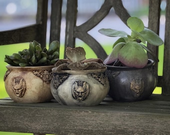 May include: Three decorative ceramic planters with succulents. The planters are in shades of beige, gray, and black, each featuring a devil face design and ornate trim. The planters are arranged on a wooden bench.