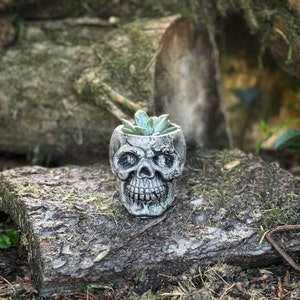 Skull Planter Pot, Gothic Garden Halloween Decor, indoor outdoor