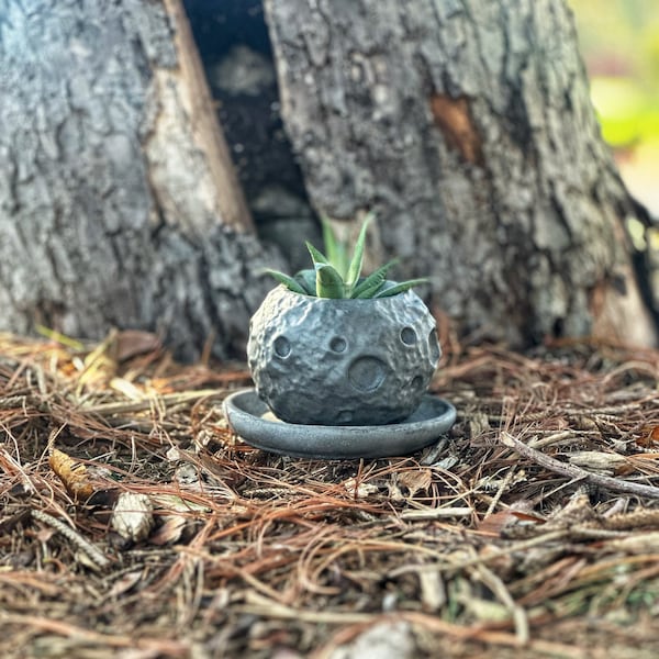 Small Moon Planter Pot Cement with saucer, indoor outdoor