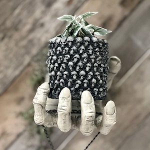 May include: A white skeletal hand holding a black planter pot with a skull design. The pot is filled with a small green plant.