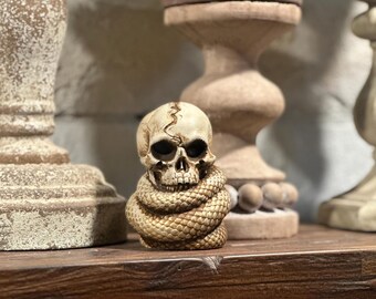 Skull Snake Garden Decor, Planter Decoration