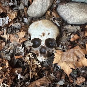 Garden Skull, Goth Garden Halloween Decoration