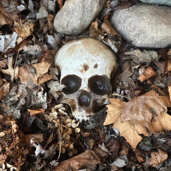 Calavera de jardín, decoración gótica de Halloween para jardín