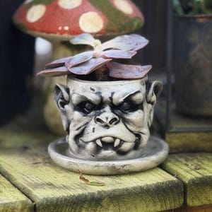 May include: A detailed, gray gargoyle face planter with a small succulent plant. The planter has a matching saucer and is set on a weathered wooden surface. A mushroom-shaped garden ornament is in the background.